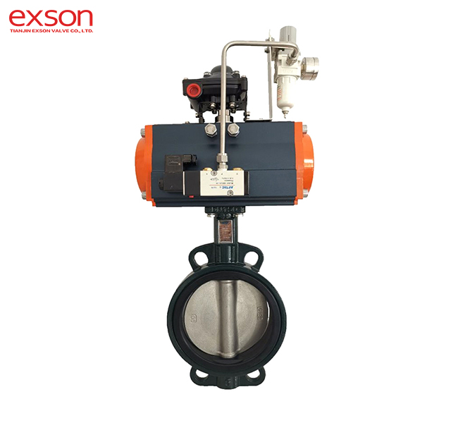 BUTTERFLY VALVE001