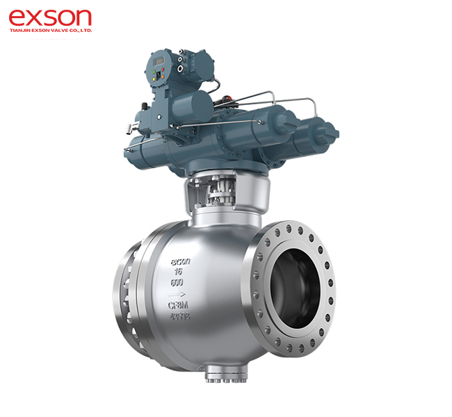 BUTTERFLY VALVE004