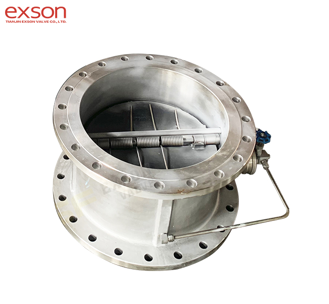 Check Valve