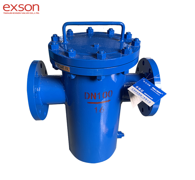 Strainer DN100
